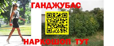 spice Моздок