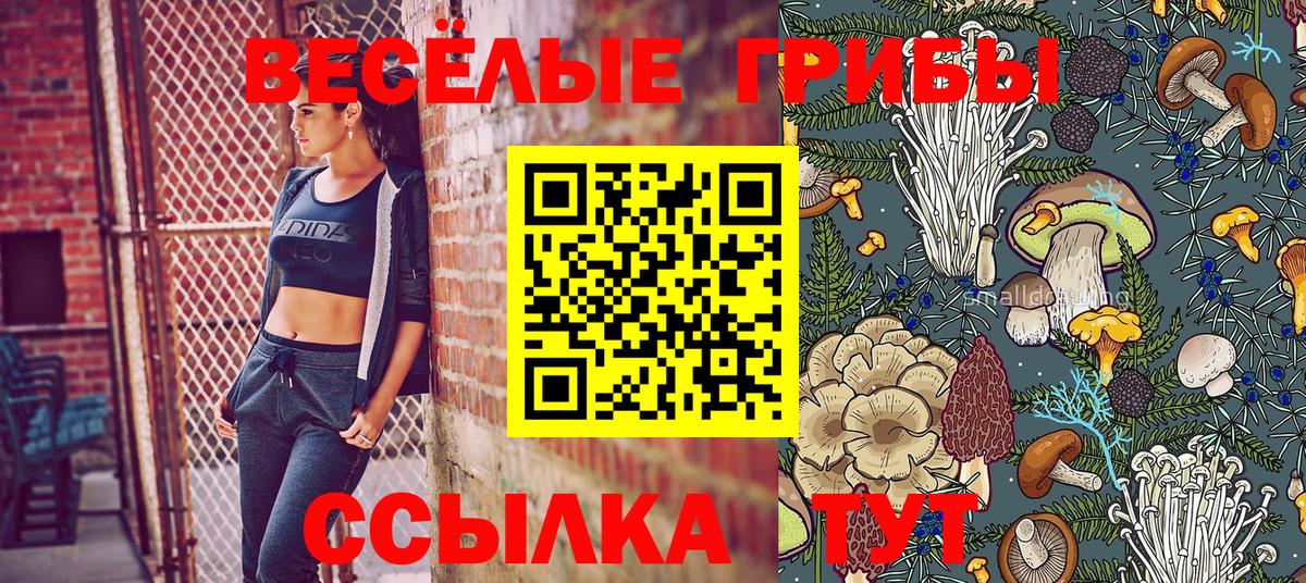 Галлюциногенные грибы Cubensis  Вход с VPN  Шадринск  Псилоцибиновые грибы MAGIC MUSHROOMS 