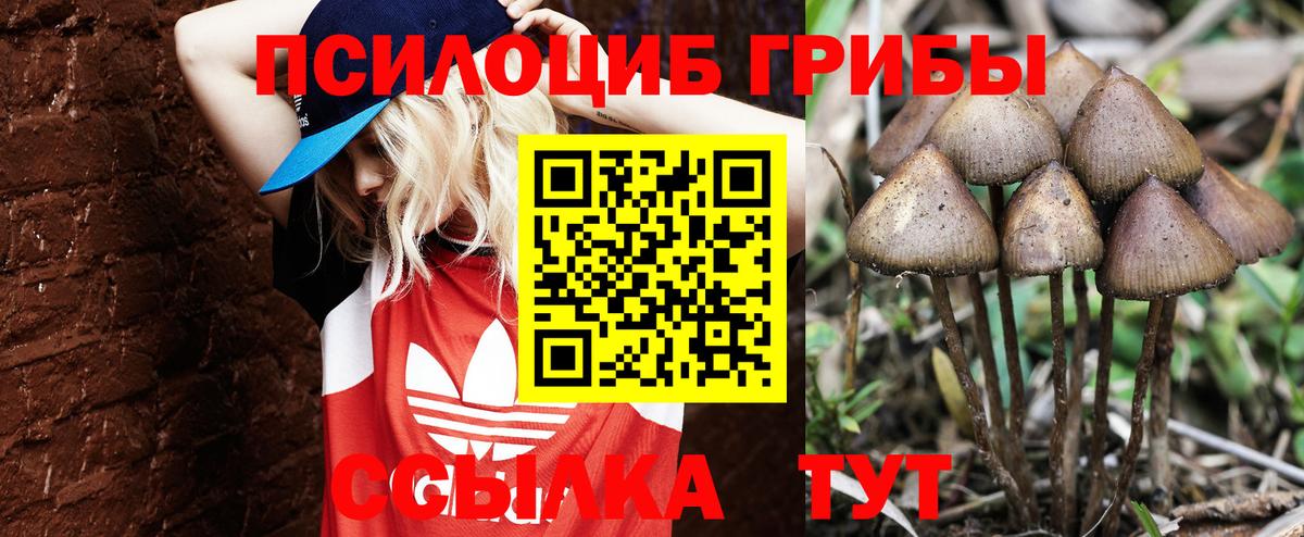 Галлюциногенные грибы GOLDEN TEACHER Шадринск